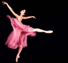 JENNYS  DANCE  SHOP  国外进口芭蕾练功服