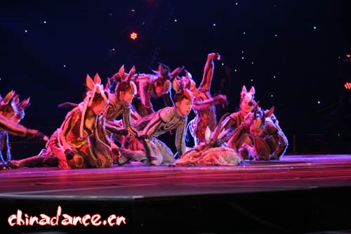 东北师范大学《羚羊的外套》